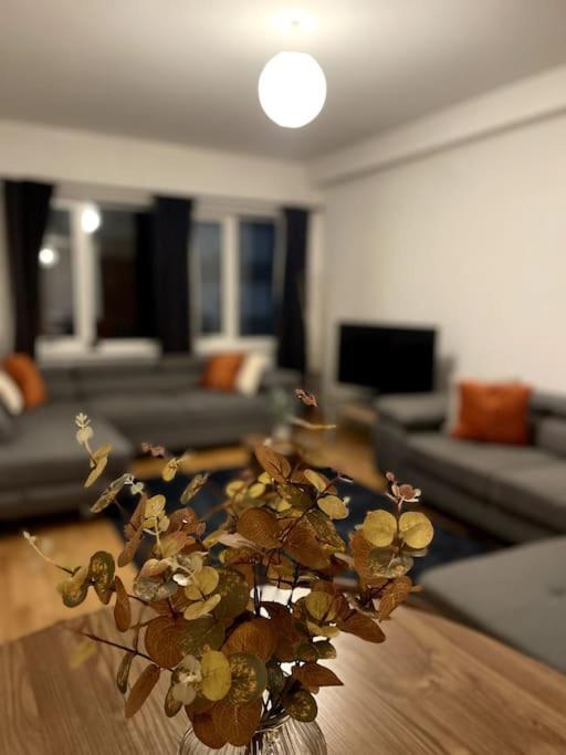 Beautiful Open Plan Living! Apartment